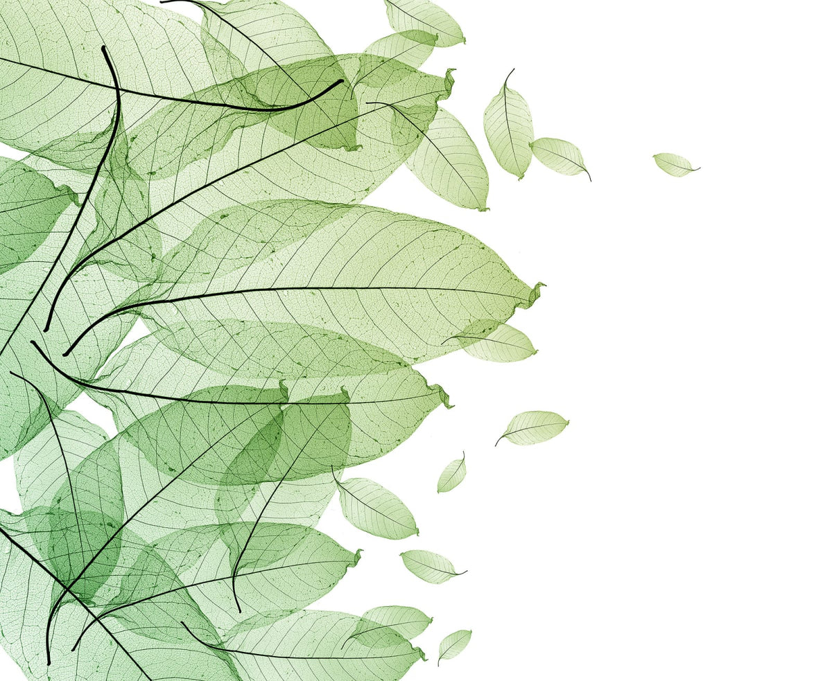 Tapetti Foliage