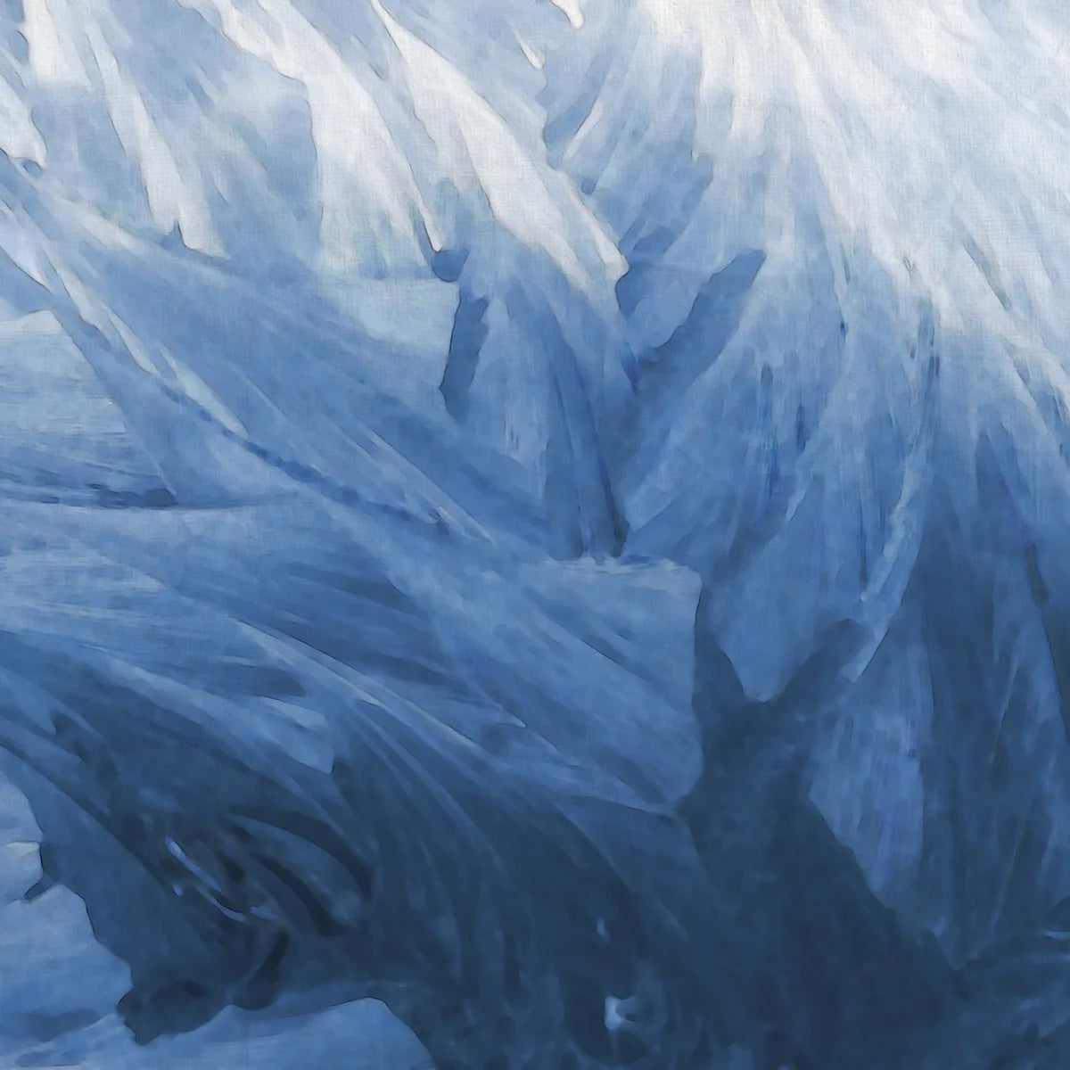 Tapetti Feathers