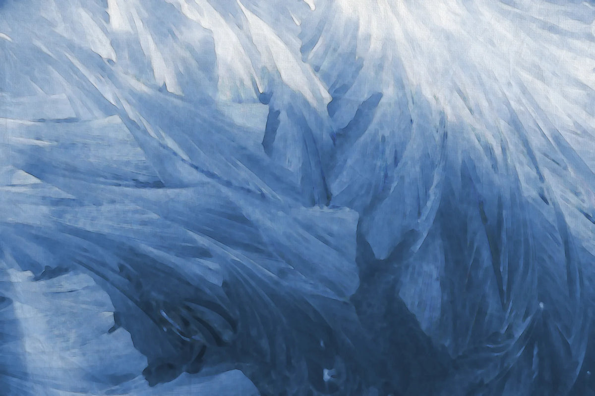 Tapetti Feathers