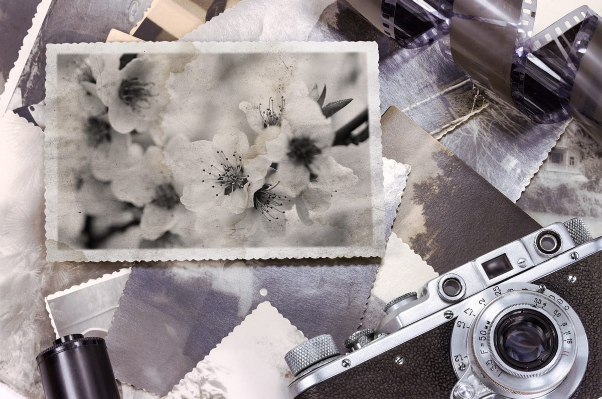Tapetti Snapshot Memories