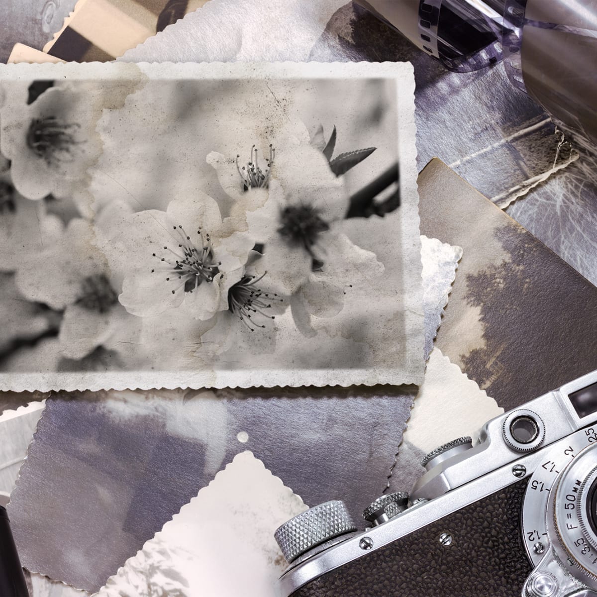 Tapetti Snapshot Memories