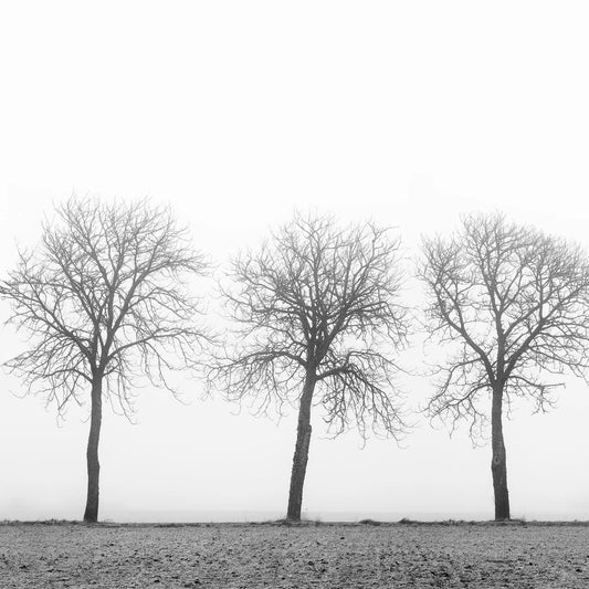 Tapetti Tree soldiers