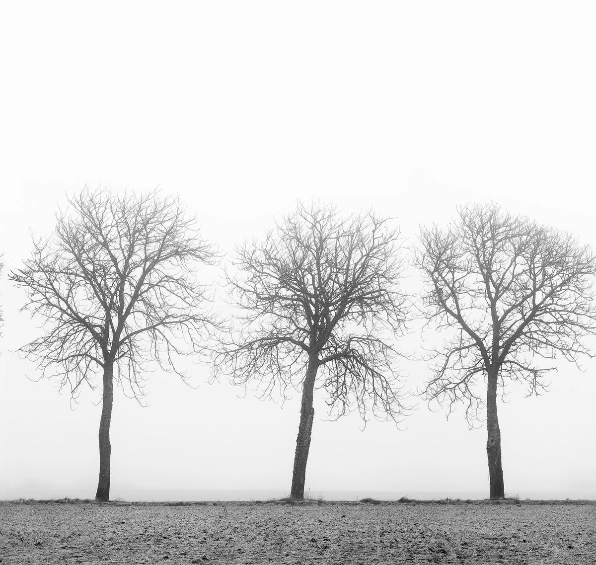 Tapetti Tree soldiers