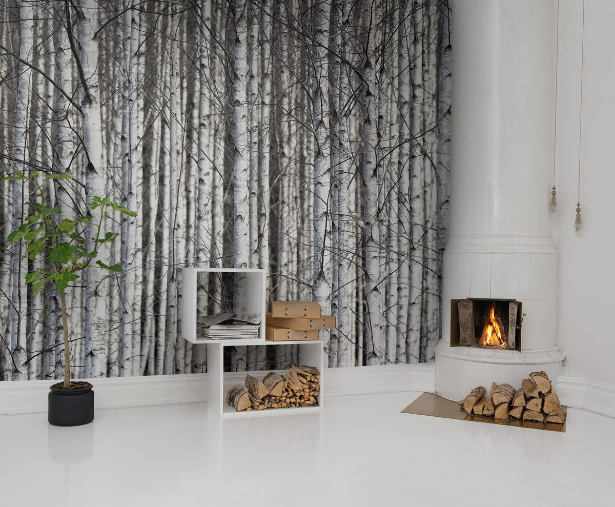 Tapetti Birch Trunks