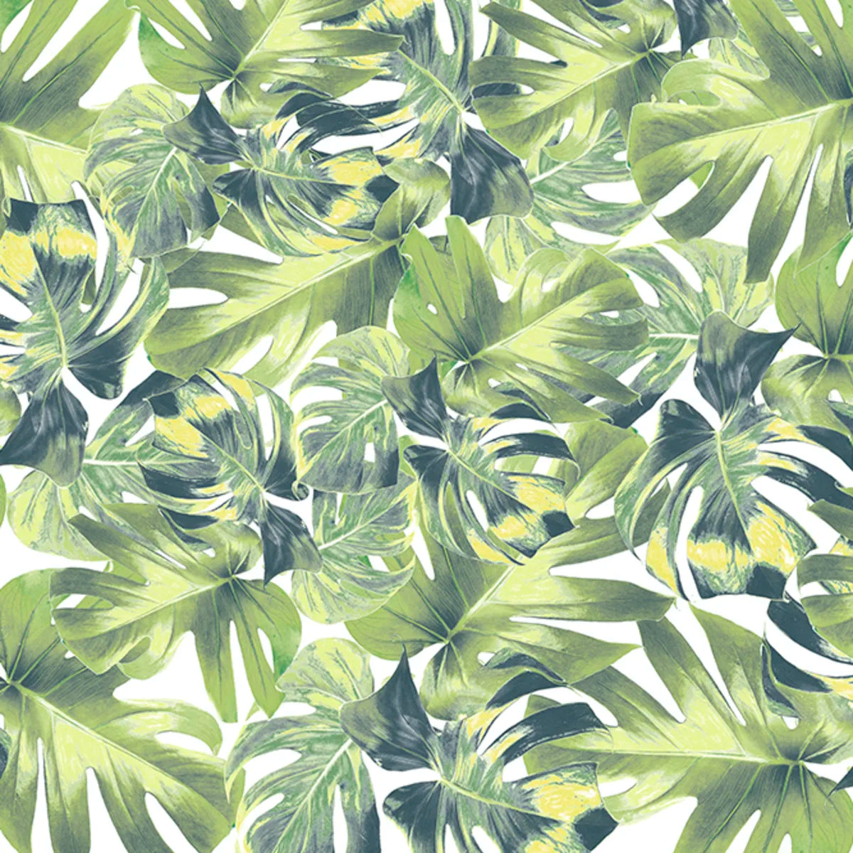 Tapetti Welcome To The Jungle