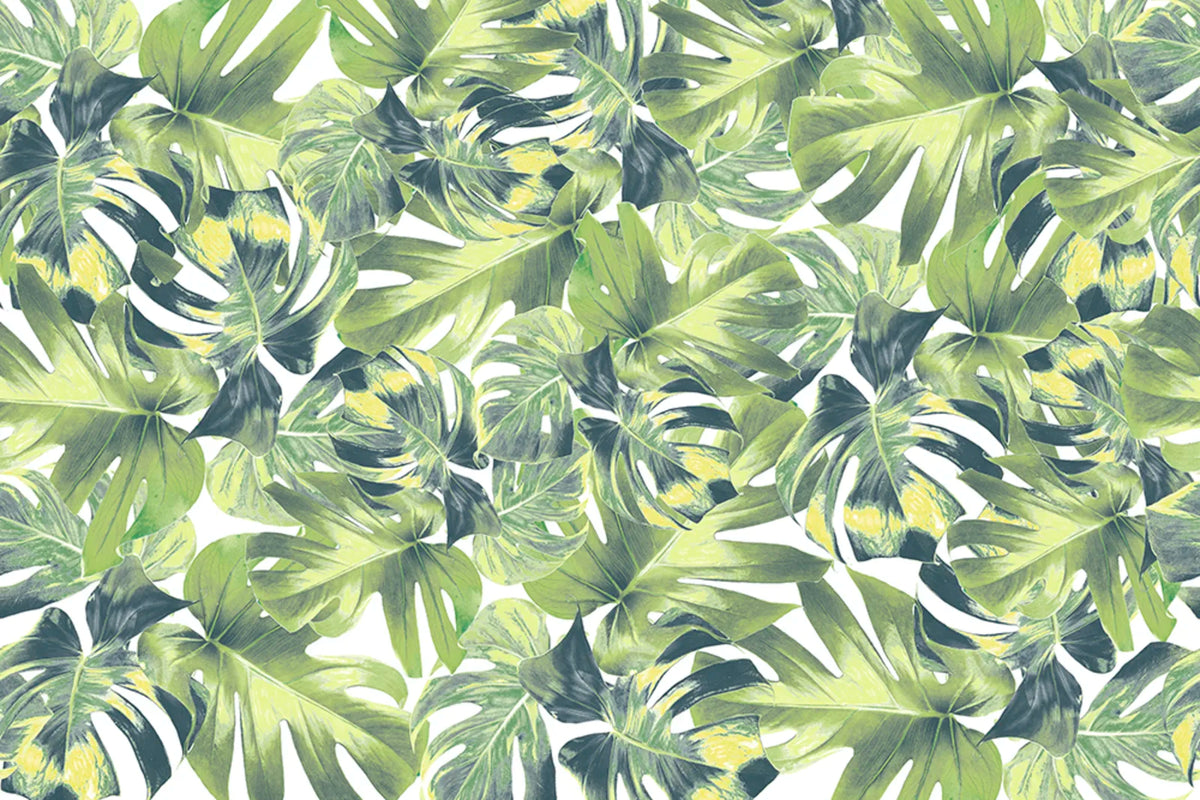 Tapetti Welcome To The Jungle