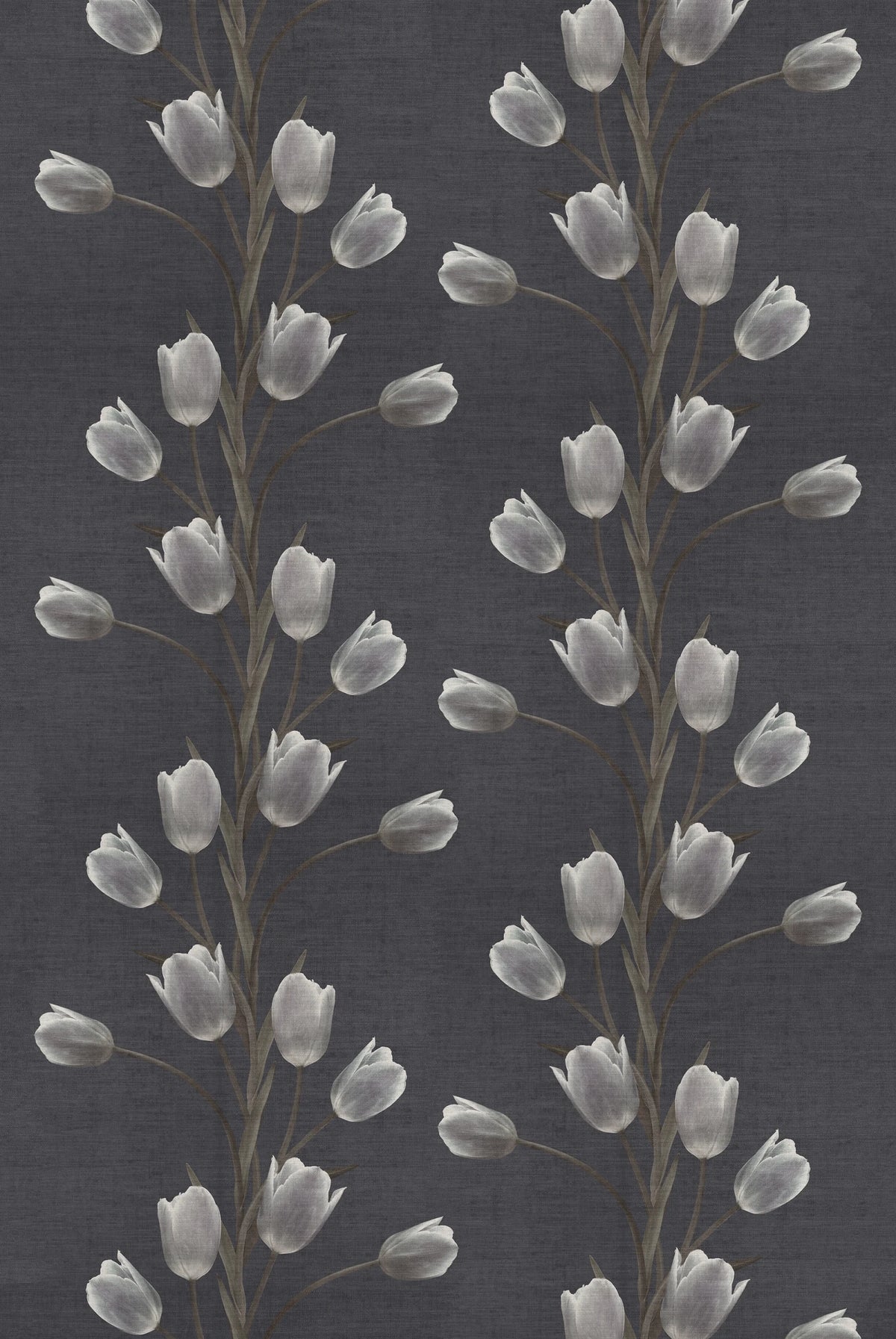 Tapetti La Vie En Tulipe, Black
