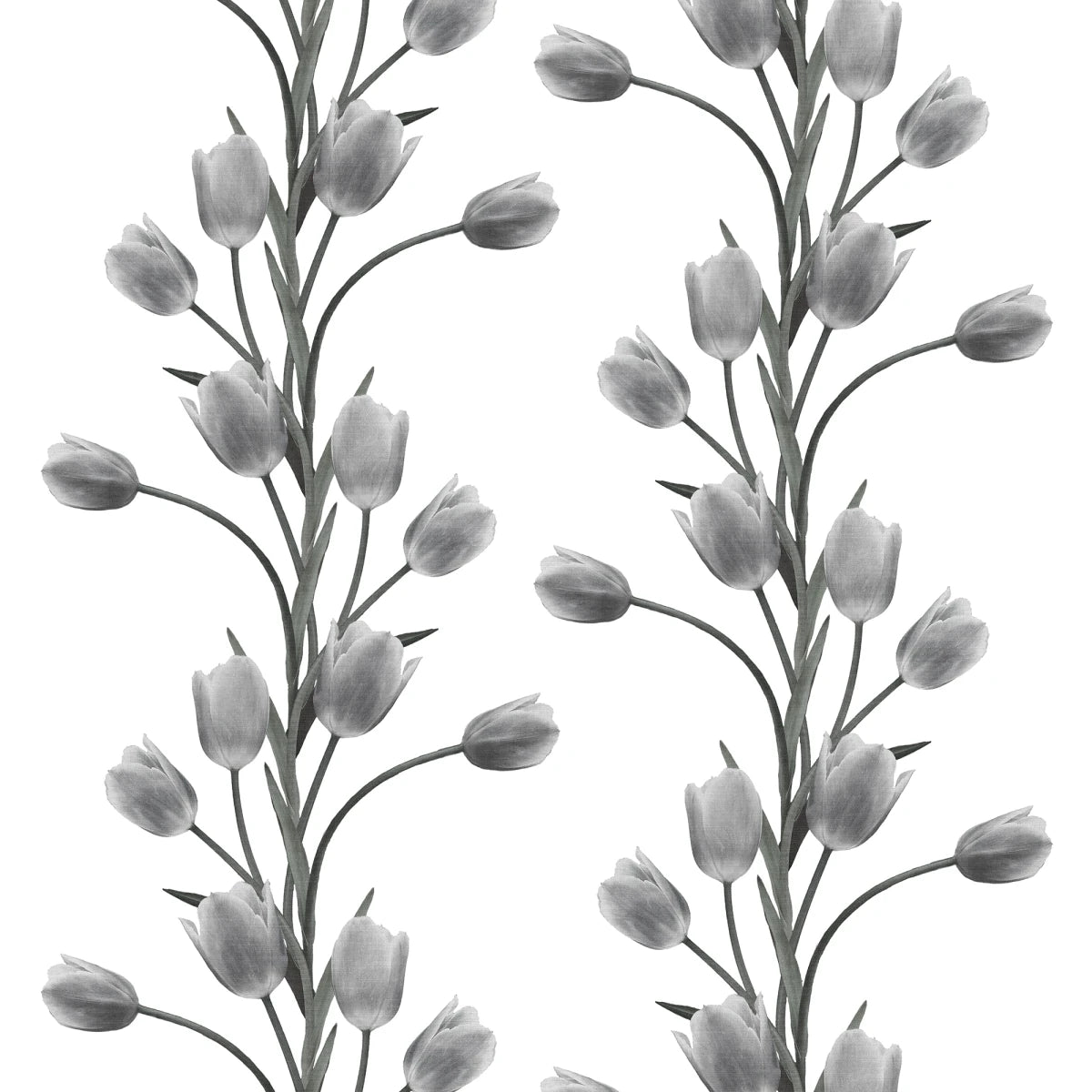 Tapetti La Vie En Tulipe, White