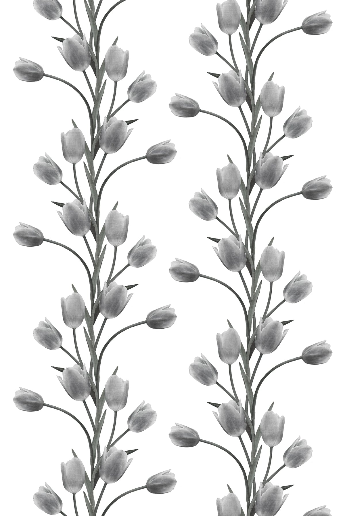 Tapetti La Vie En Tulipe, White