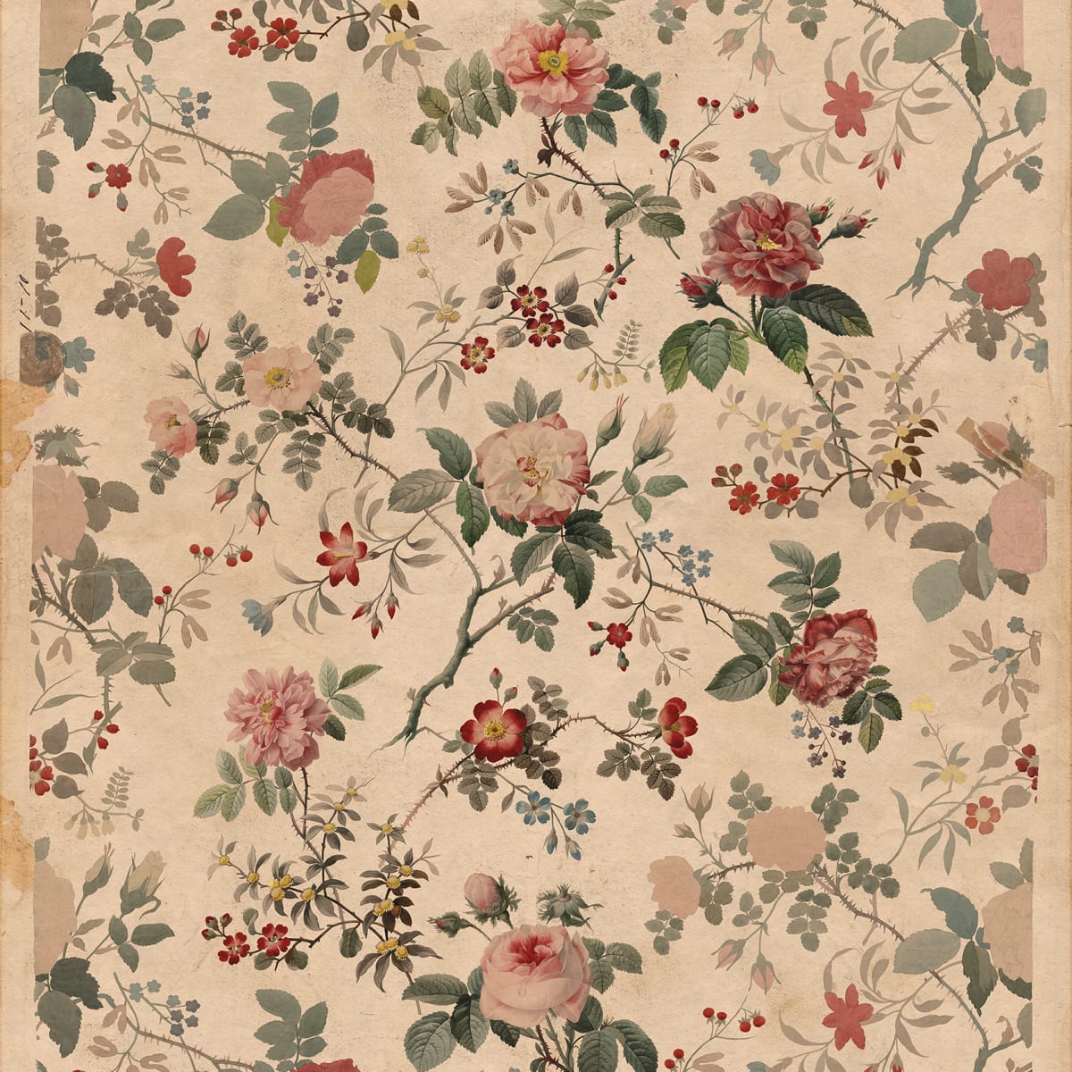 Tapetti Rosegarden