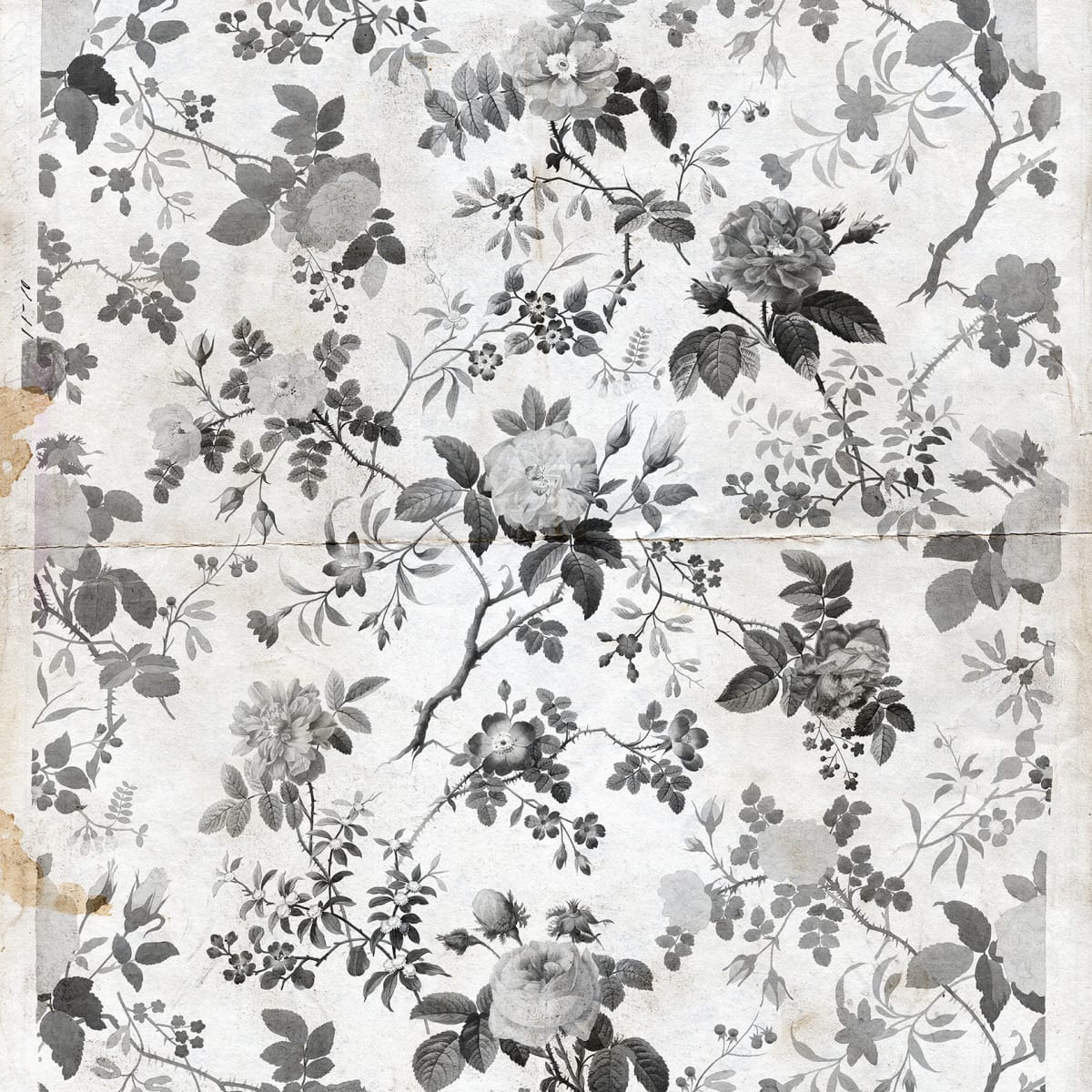 Tapetti Rosegarden, Black