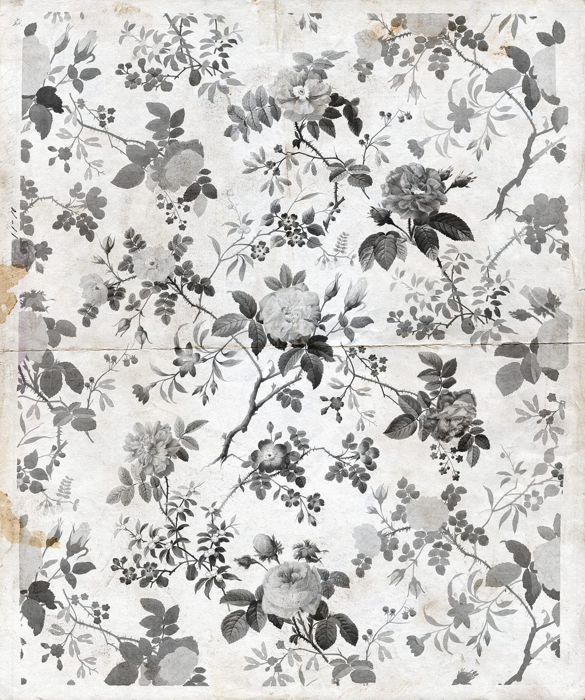 Tapetti Rosegarden, Black