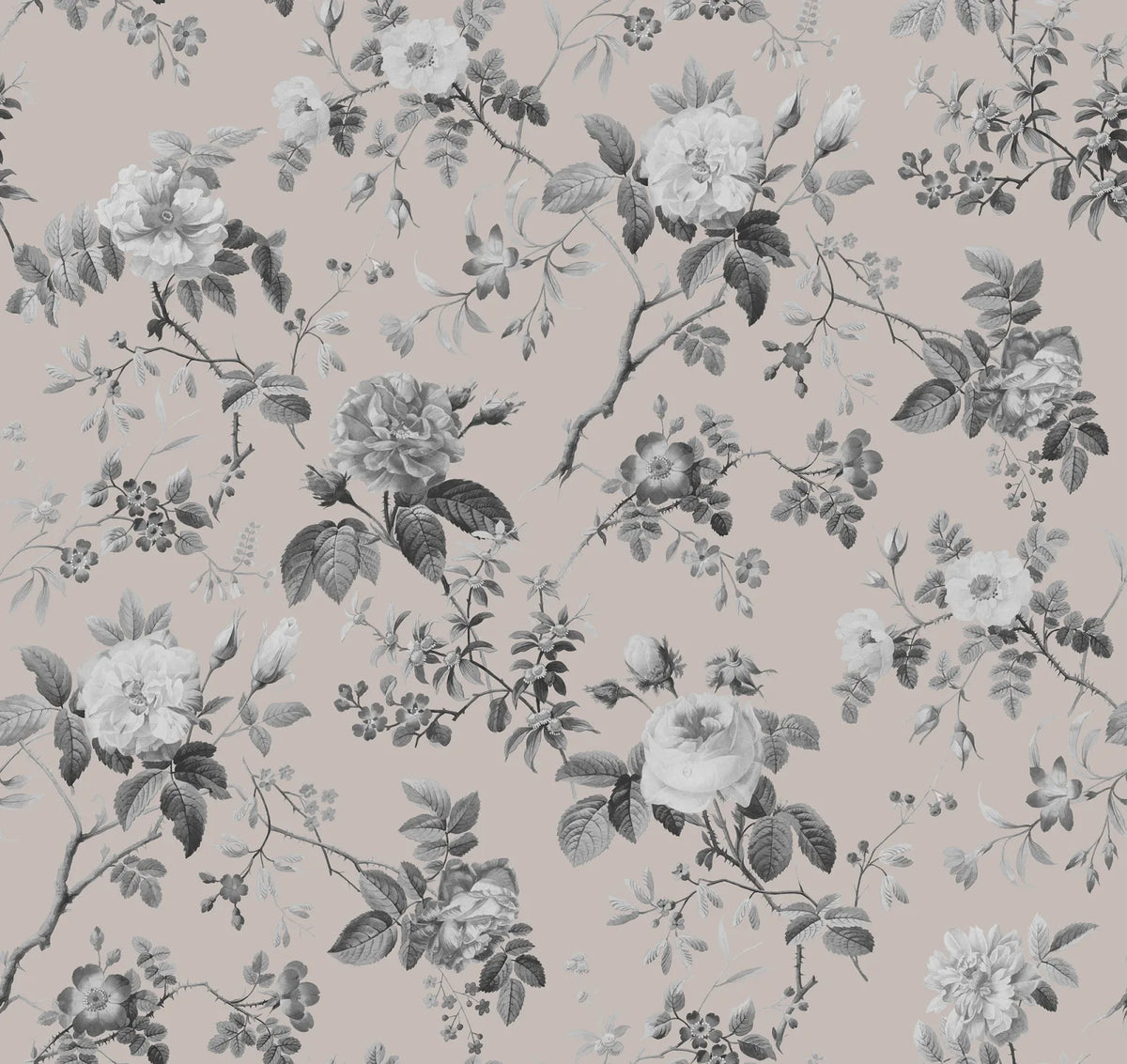Tapetti Thorn Rose, Early Rise