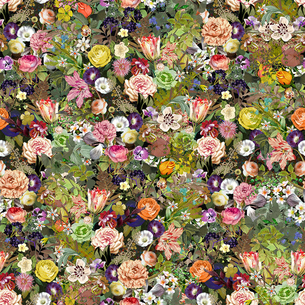 Tapetti Meadow, Color