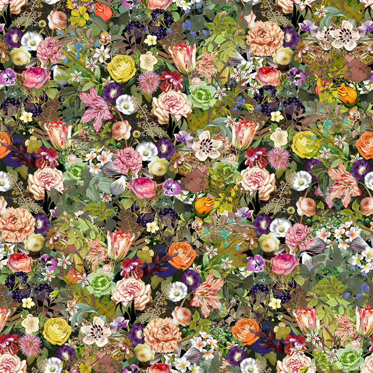 Tapetti Meadow, Color