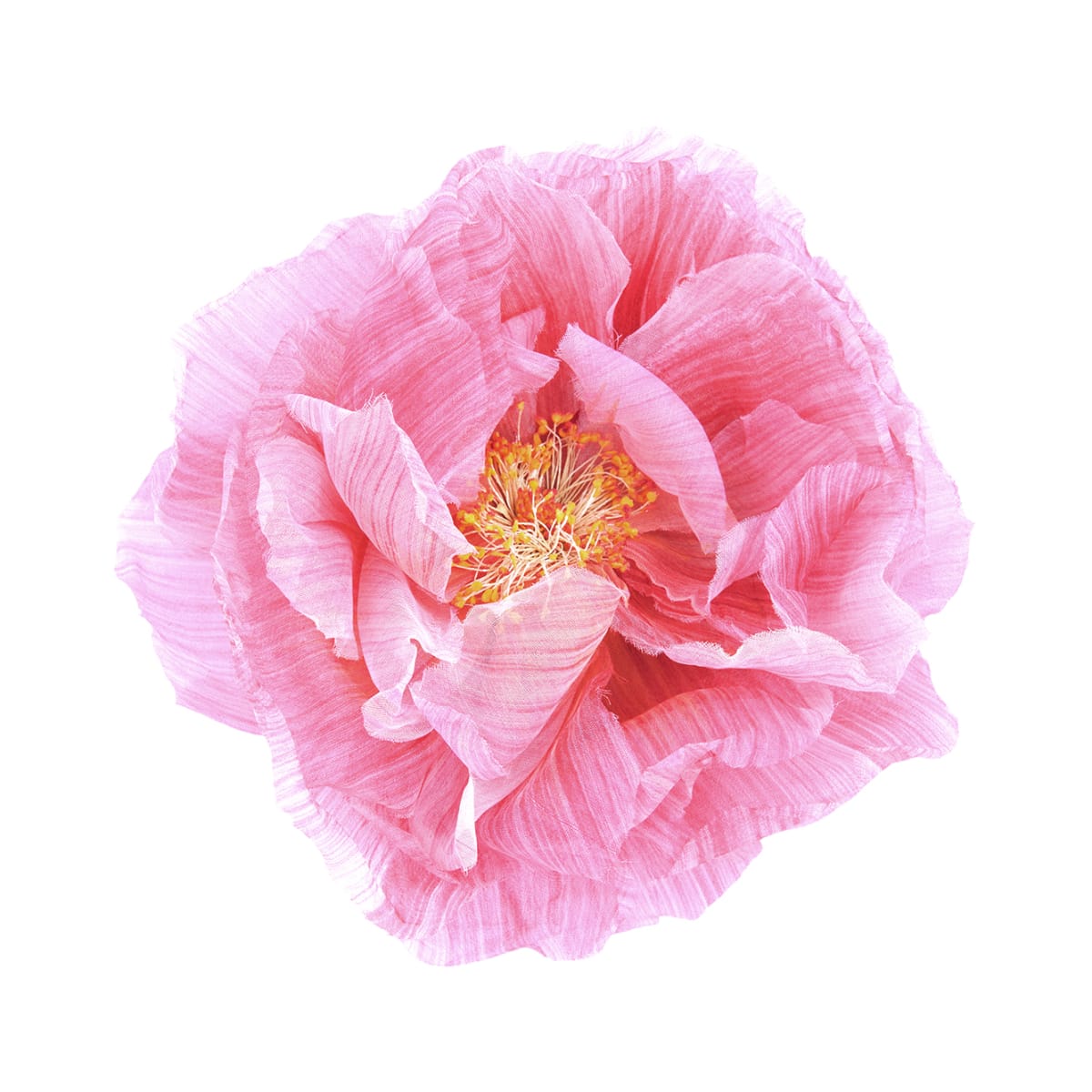 Tapetti Poppy Art