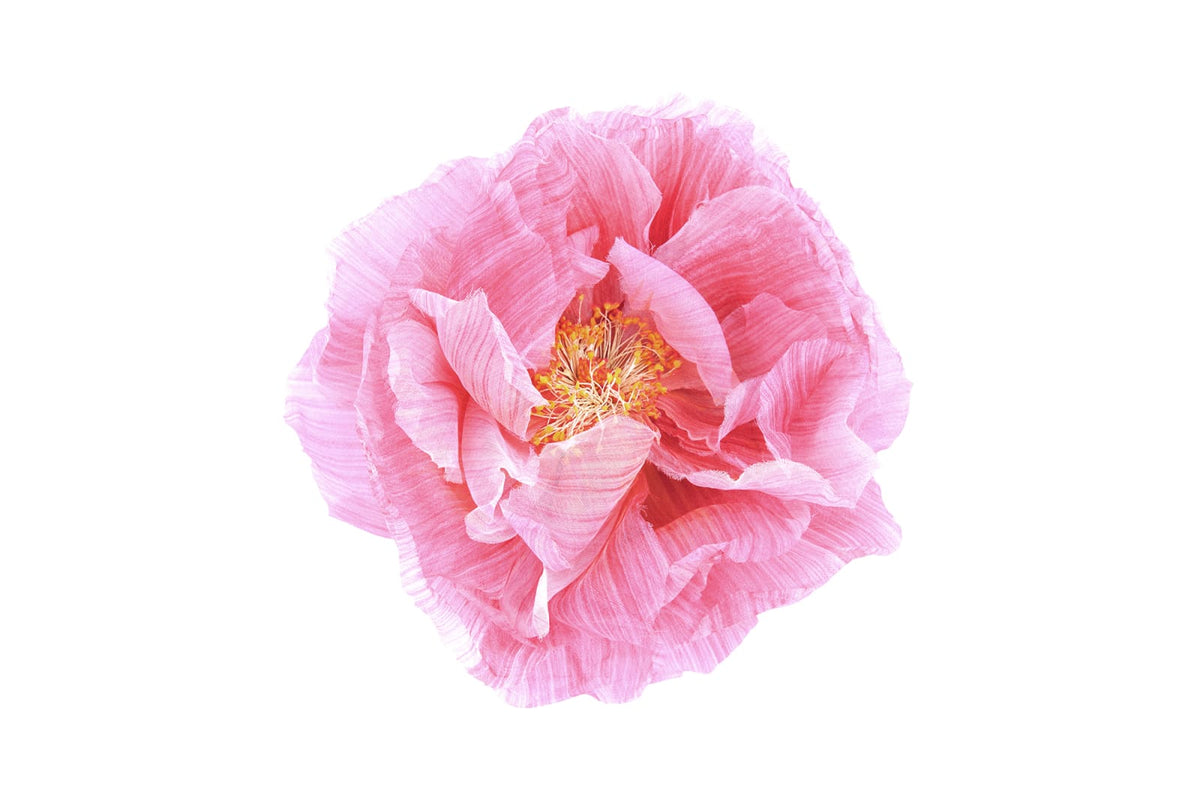Tapetti Poppy Art