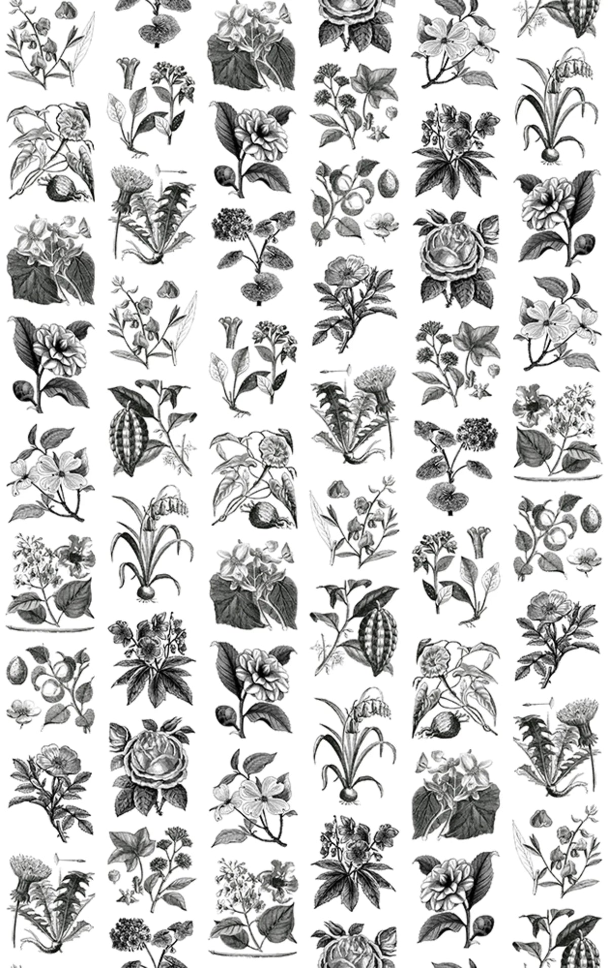 Tapetti Fruit & Flora