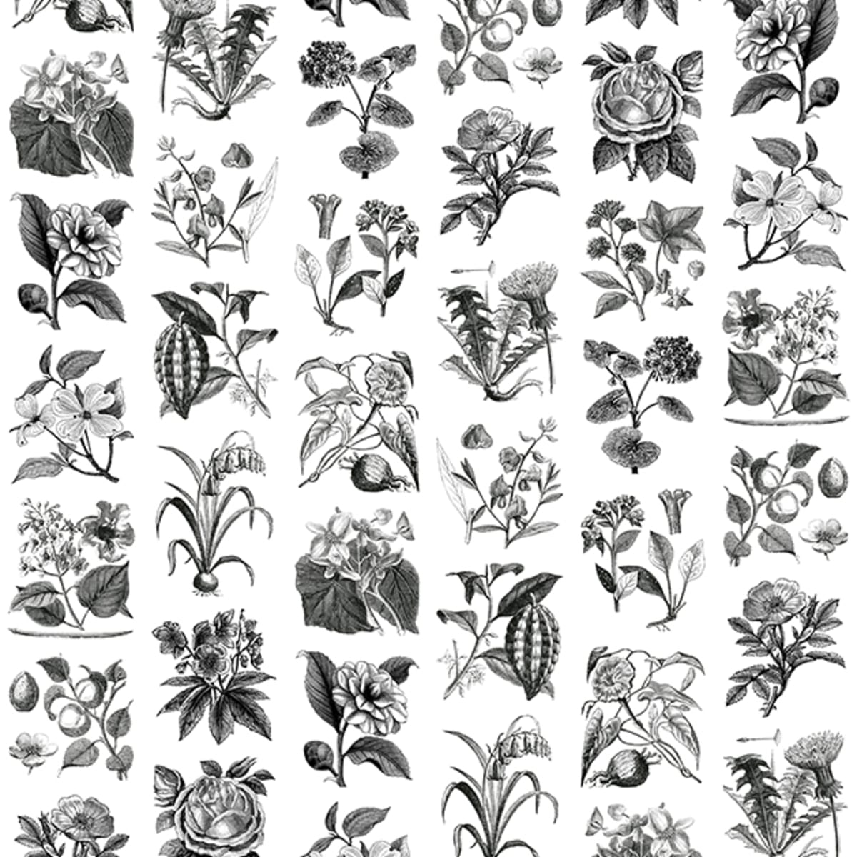Tapetti Fruit & Flora