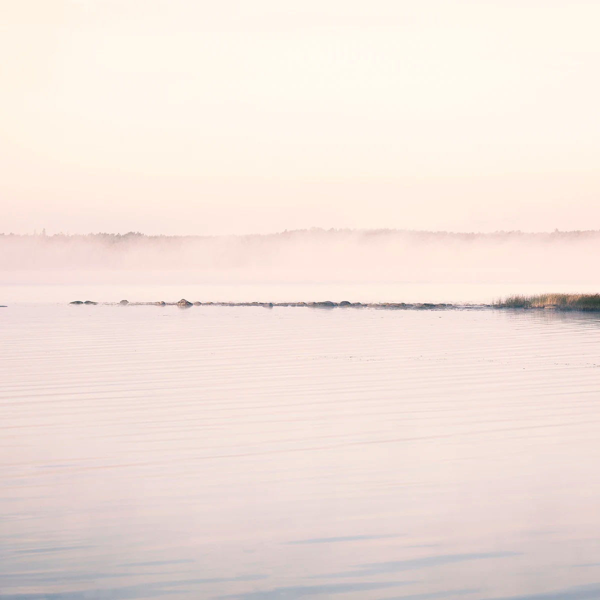 Tapetti Misty Water