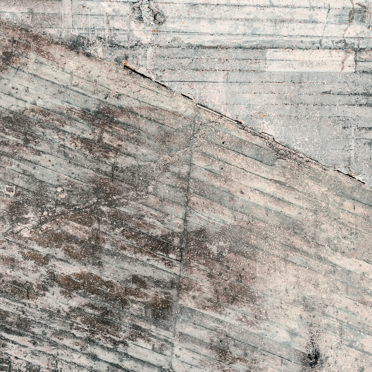 Tapetti Lingering Wall