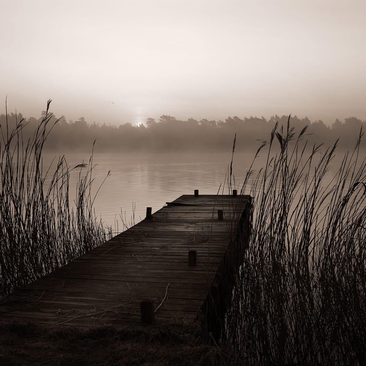 Tapetti Misty Lake