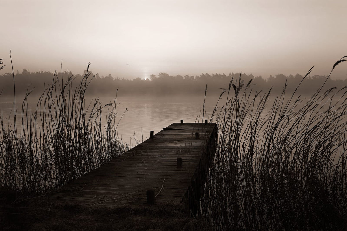 Tapetti Misty Lake