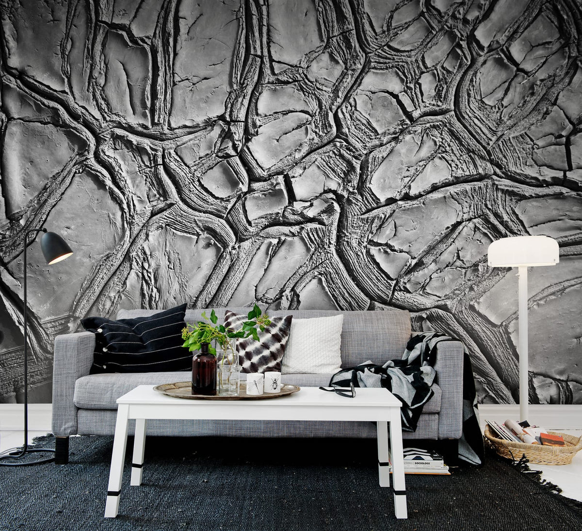 Tapetti Dried Clay