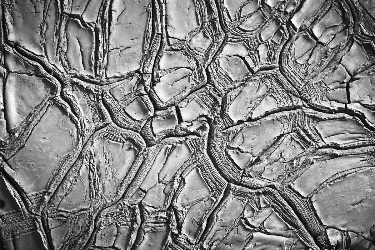 Tapetti Dried Clay