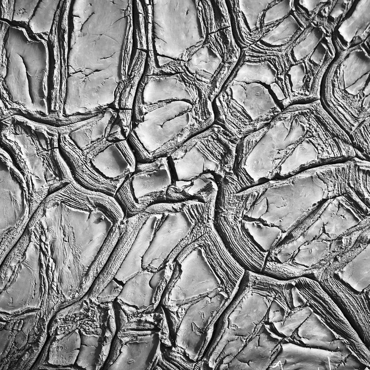 Tapetti Dried Clay
