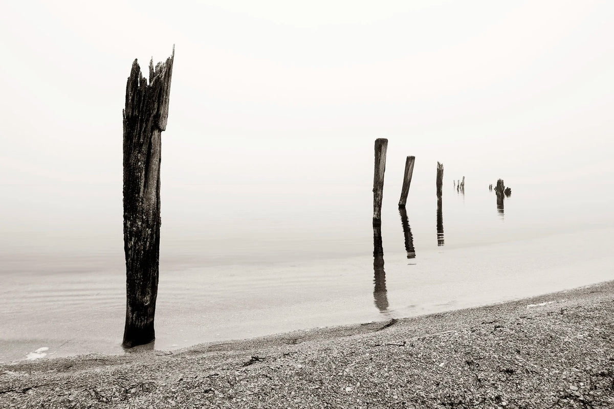 Tapetti Shoreline