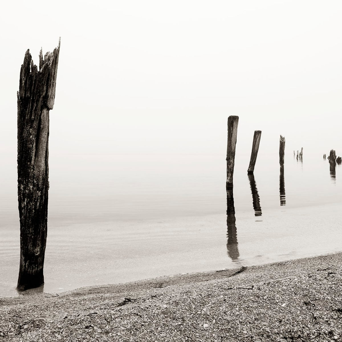 Tapetti Shoreline