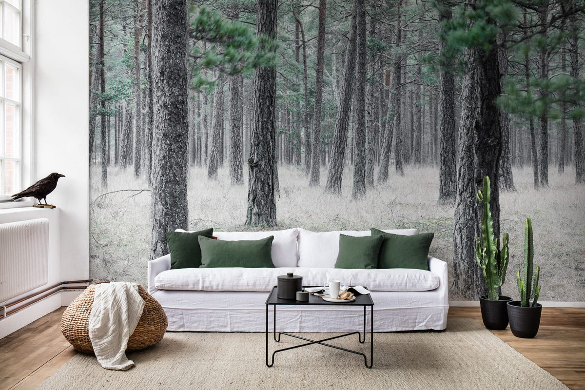 Tapetti Pine Forest