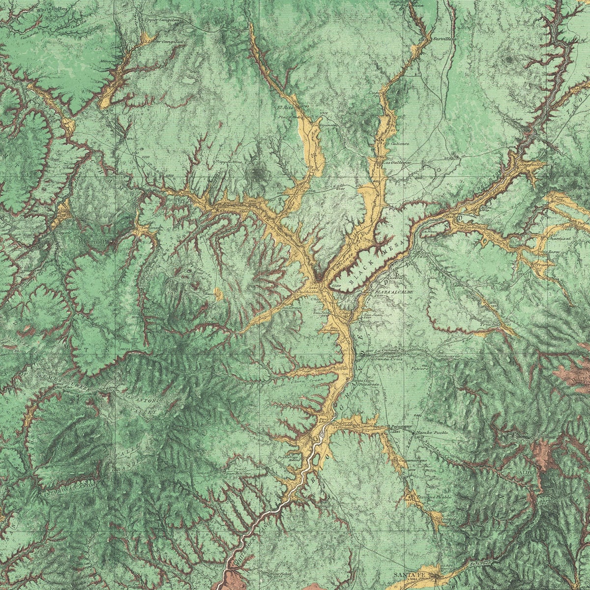 Tapetti Woodland
