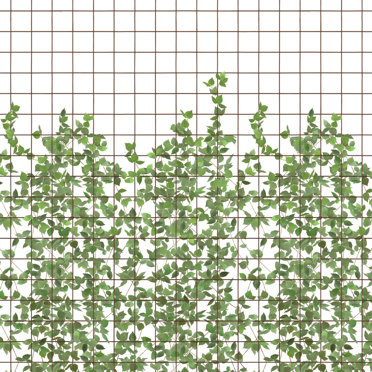 Tapetti Climbing Clorofyl