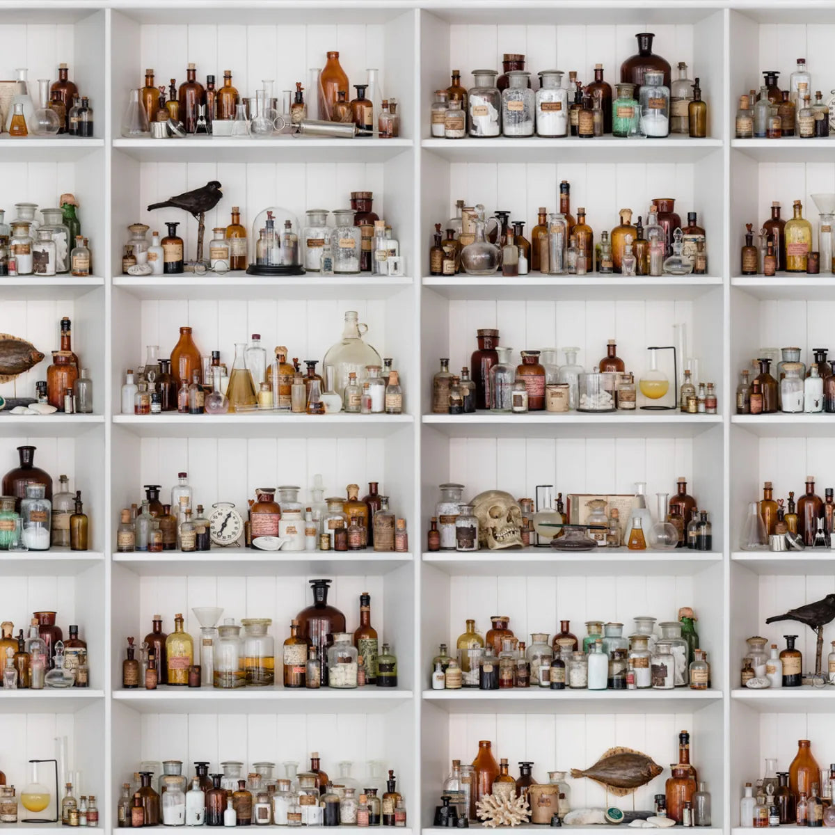 Tapetti Cabinet of Curios