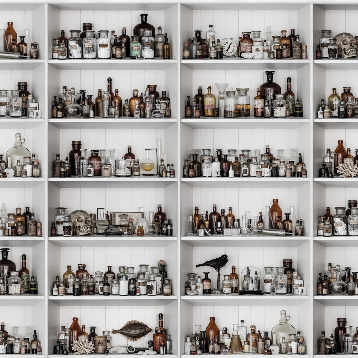 Tapetti Cabinet of Curios, Raw