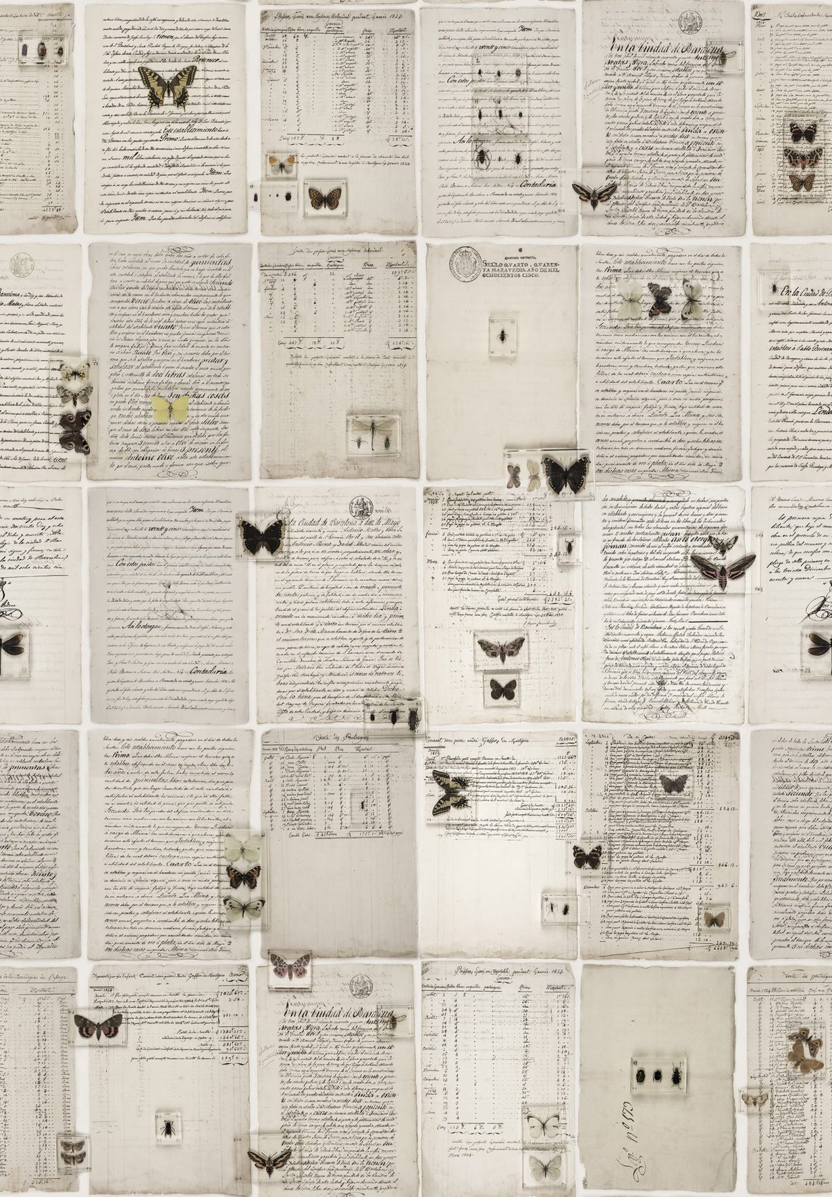 Tapetti The Butterfly Library