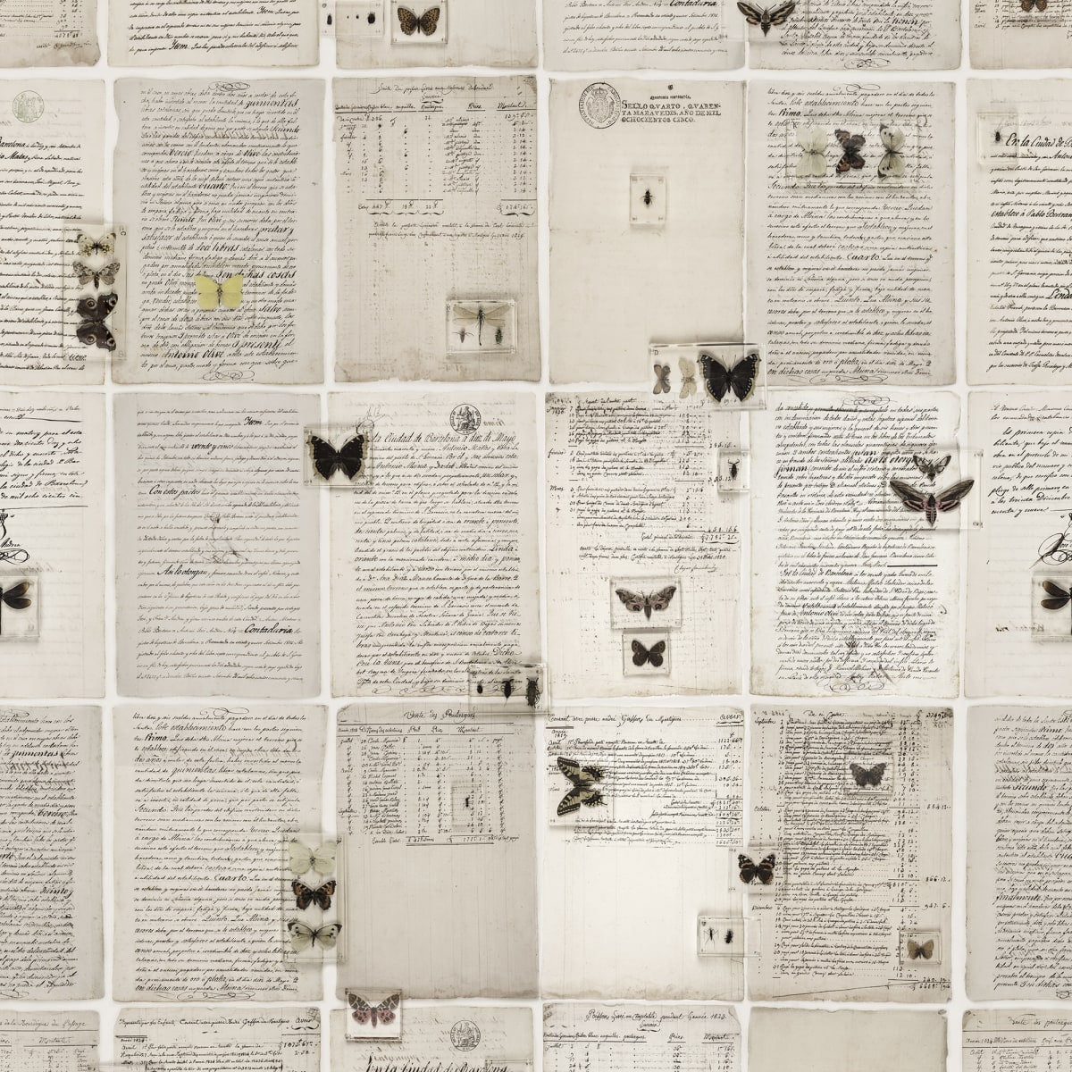 Tapetti The Butterfly Library