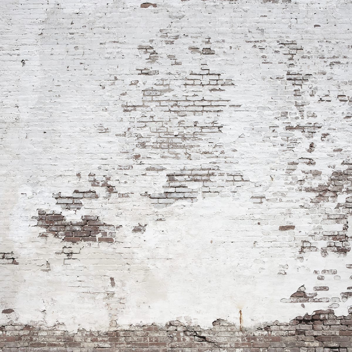 Tapetti Industrial Ivory