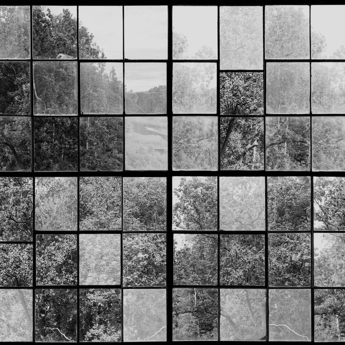 Tapetti Factory Window, Graphite