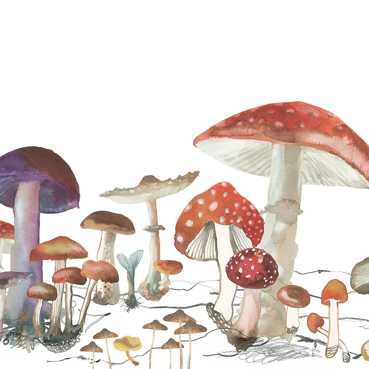 Tapetti Woods of Wonder
