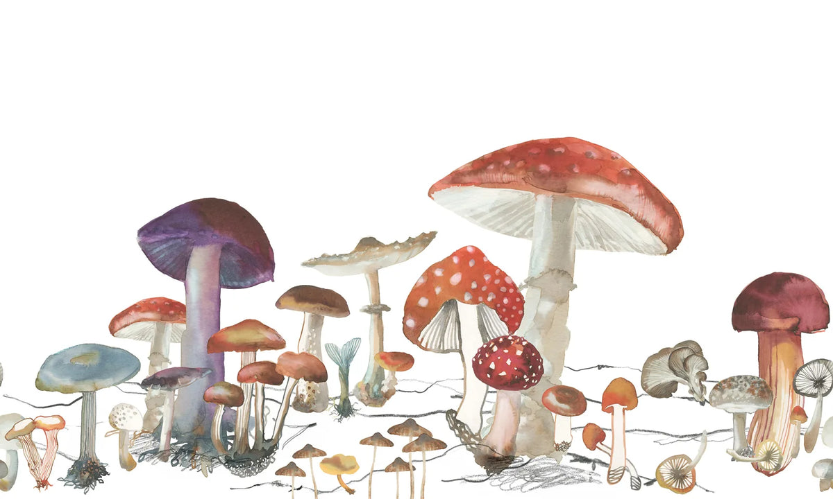 Tapetti Woods of Wonder
