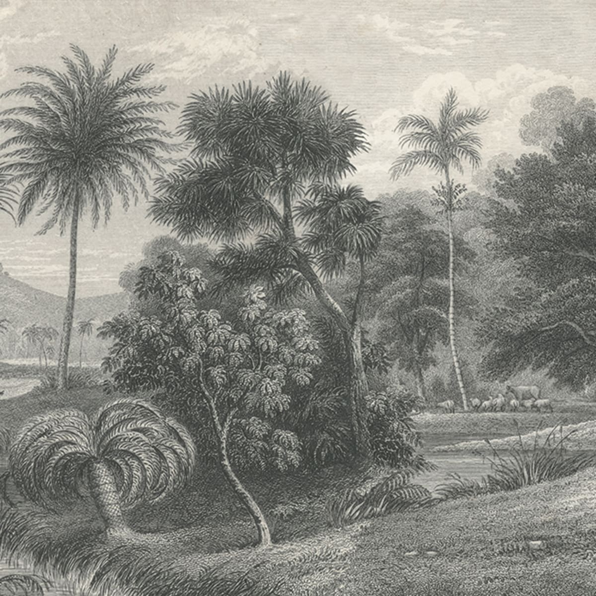 Tapetti Jungle Land, Vintage