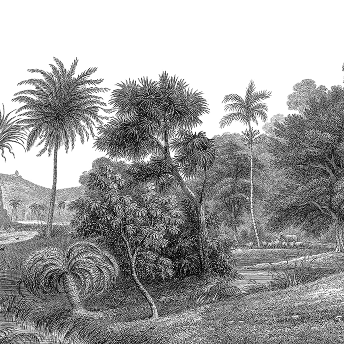 Tapetti Jungle Land