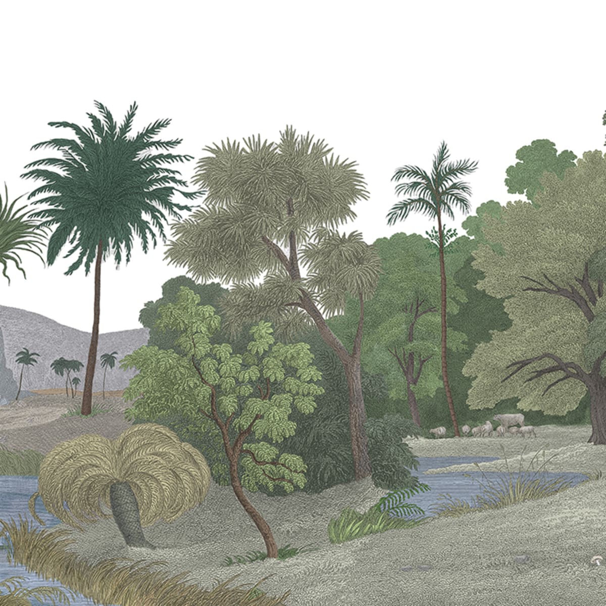 Tapetti Jungle Land, Color