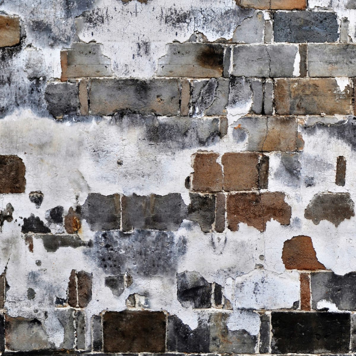 Tapetti Slurry Wall