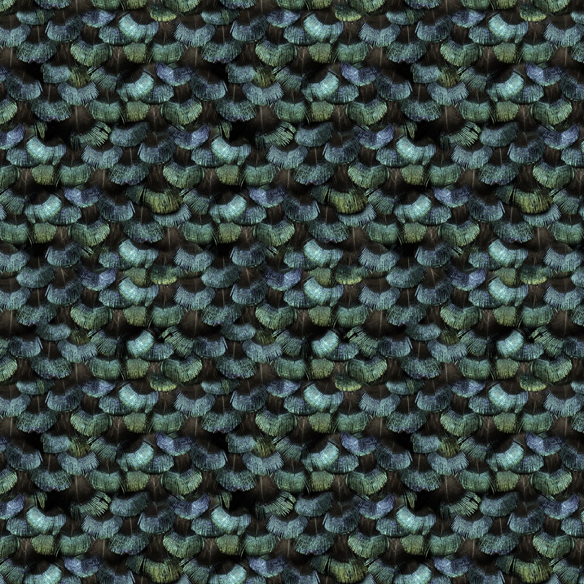 Tapetti Peacock Plumage
