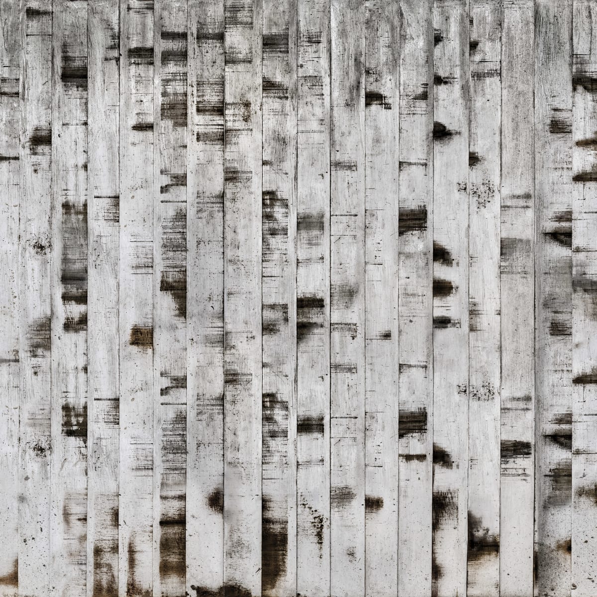 Tapetti Metal Birch