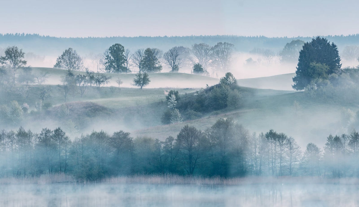 Tapetti Morning Haze
